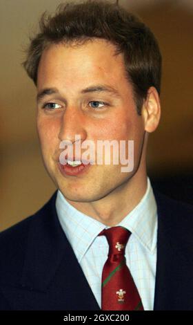 Prince William al Millennium Stadium di Cardiff il 4 febbraio 2007. Il Principe William assunse ufficialmente il suo ruolo di Vice Royal Patron della Welsh Rugby Union. Il principe era al Millennium Stadium di Cardiff per vedere il Galles giocare in Irlanda nella loro partita di apertura del torneo delle sei Nazioni. Anwar Hussein/EMPICS Entertainment Foto Stock