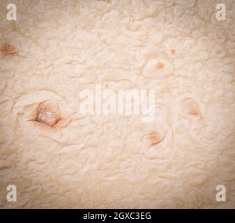 La tortilla Wrap bread.Close up texture. Primo piano Foto Stock