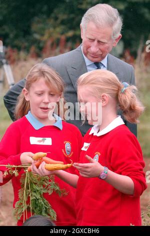 Prince Charles, Prince of Wales guarda gli alunni della scuola elementare di Avening nel Gloucestershire, specie carote presso la Home Farm, Highgrove. Il principe del Galles ha detto che è stata una "tragedia” che una generazione di bambini sta crescendo con poca idea di dove il cibo che mangiano viene. Charles ha avvertito che i giovani allevati nelle città sono allarmante ignoranti della campagna e di come il cibo è prodotto. Foto Stock