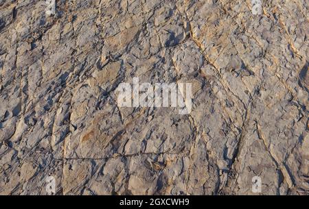 Texture, strati di sfondo e crepe in roccia sedimentaria sulla faccia della scogliera. Ardesia rocciosa in montagna. Sfondo astratto senza giunture. Crepe e strati o Foto Stock