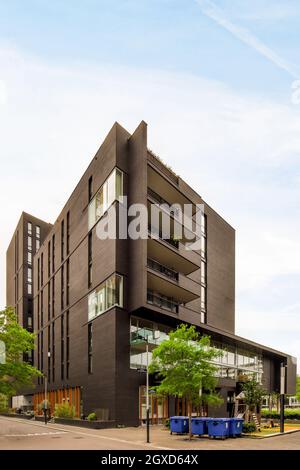 Esterno contemporaneo di una casa a più piani con balconi contro alberi e contenitori di rifiuti sul pavimento sotto il cielo nuvoloso ad Amsterdam Foto Stock