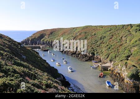 Porth Clais (o Porthclais), St Davids, Pembrokeshire, Galles, Regno Unito, Regno Unito, Europa Foto Stock