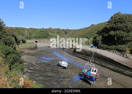 Porth Clais (o Porthclais), St Davids, Pembrokeshire, Galles, Regno Unito, Regno Unito, Europa Foto Stock