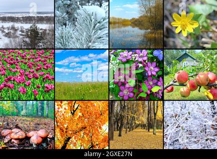 Bianco con dodici diverse immagini colorate della natura per il calendario Foto Stock