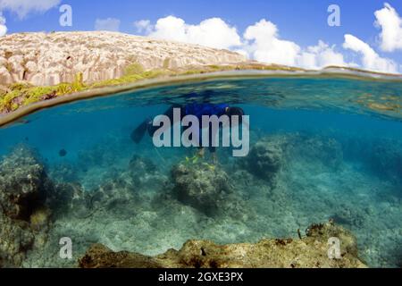 Il ricercatore misura la crescita del corallo e il pesce di indagine in Hanauma Bay, Oahu, Hawaii, USA Foto Stock