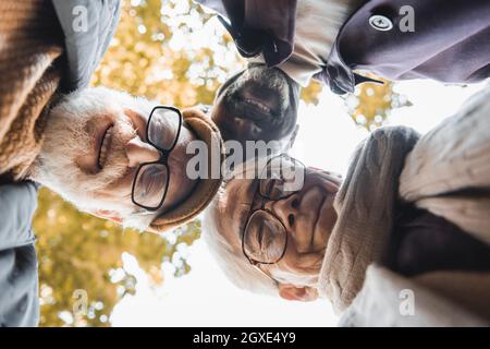 Vista dal basso di amici multiculturali negli occhiali che guardano la macchina fotografica all'aperto Foto Stock