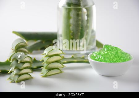 Foglie di aloe vera tagliate a fette su sfondo bianco. Alto beneficio come un'erba con proprietà medicinali Foto Stock