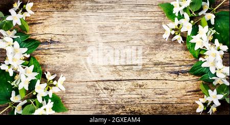 Bella primavera bordo fiore su sfondo rustico in legno con copyspace. Bouquet di gelsomino bianco su un tavolo vintage testurizzato. Vista dall'alto. Foto Stock