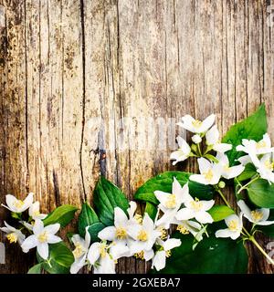 Bella primavera bordo fiore su sfondo rustico in legno con copyspace. Bouquet di gelsomino bianco su un tavolo vintage testurizzato. Vista dall'alto. Foto Stock