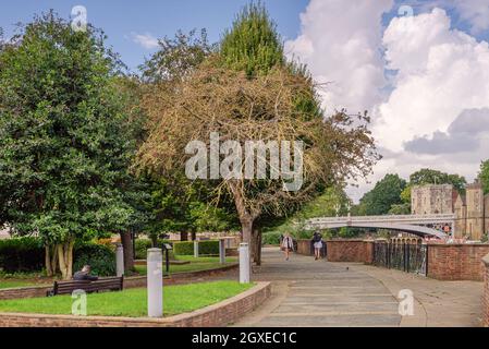 Un sentiero che attraversa un parco corre lungo un fiume con un ponte storico sullo sfondo. La gente cammina e un uomo siede su una panchina. Foto Stock