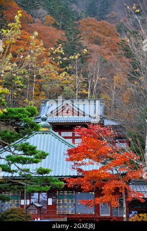 I colori del fogliame circondano un tempio giapponese vicino al Parco Nazionale Nikko, Nikko, Giappone Foto Stock