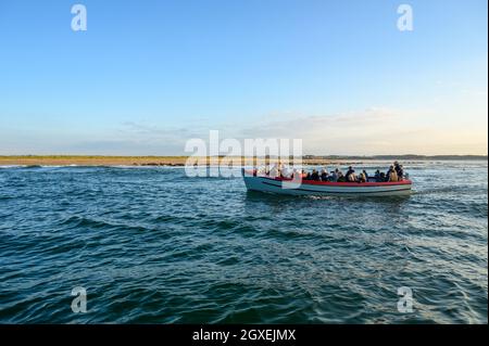 I passeggeri salgono a bordo di una barca charter Seal che guarda le foche comuni e grigie che si crogiolano sotto la luce del sole a Blakeney Point, Norfolk, Inghilterra. Foto Stock