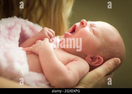 Dolci mani di Madre tenendo la sua preziosa Neonato ragazza. Foto Stock