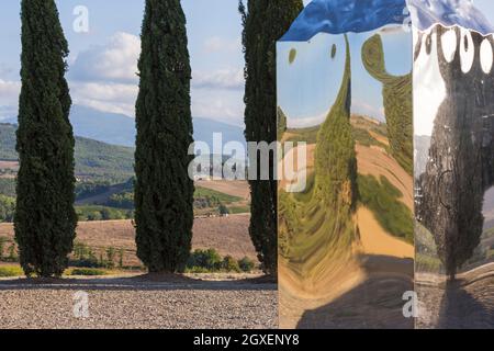 Colonna ionica di Helidon Xhixha tra i cipressi a i Cipressi di San Quirico d'Orcia, San Quirico d'Orcia, nei pressi di Pienza, Toscana, Italia nel mese di settembre Foto Stock