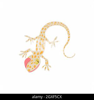 Icona lizard in stile cartoon isolato su sfondo bianco Foto Stock