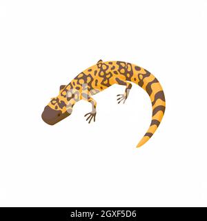 Icona lizard in stile cartoon isolato su sfondo bianco Foto Stock