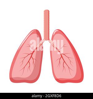 Icona dei polmoni umani in stile cartoon su sfondo bianco Foto Stock