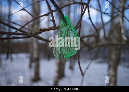 Piccolo sacchetto di plastica verde per il confezionamento al dettaglio dei prodotti catturato in un albero appeso da un ramo contro un cielo azzurro soleggiato in un concetto di inquinamento Foto Stock