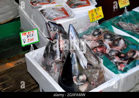 Teste di tonno ahi congelate in vendita presso il vecchio mercato del pesce di Tsukiji, Tokyo, Giappone Foto Stock