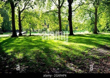 Lunghe ombre a Green Park, Londra Foto Stock