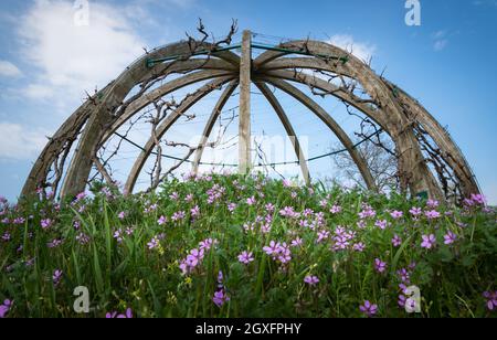 Cupola per la vinificazione a Oggau in Burgenland in primavera Foto Stock