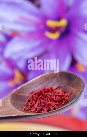 Sfondo zafferano. Fuoco selettivo su fili o trefoli di spezie di zafferano rossi in un cucchiaio di legno rustico contro i fiori di crocus di safran sfocati. Affro secco Foto Stock