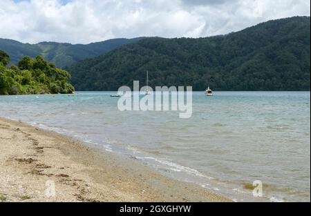 Paesaggio costiero intorno a Havelock nella regione di Marlborough a New Zelanda Foto Stock