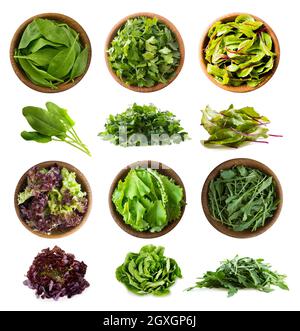 Verdure a foglia isolate su bianco. Foglie di spinaci, prezzemolo, strutto svizzero (foglie di mangold o barbabietola), lattuga, rucola. Verdure con spazio di copia per tex Foto Stock