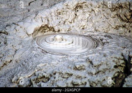 Una sorgente calda acida di fango bollente sorge sulla superficie terrestre a Rotorua, Nuova Zelanda. Le fangose sono comuni nel paesaggio vulcanico di questa città soprannominata la città dello zolfo. L'acido e i microrganismi decompongono la roccia circostante in argilla e fango fornendo un paesaggio surreale di fango gorgogliante e vasche di fango. Foto Stock