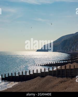 Holywell Beach Eastbourne, guardando verso Beachy Head, East Sussex, Inghilterra, Regno Unito. Foto Stock