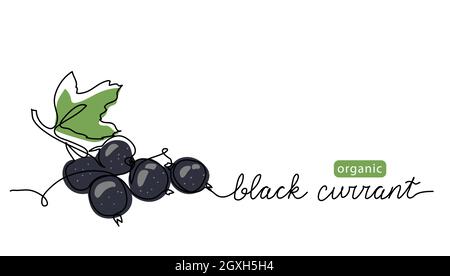 Illustrazione del vettore di ribes nero. Disegno artistico a una linea con scritta in ribes nero organico Illustrazione Vettoriale