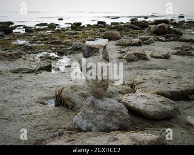 Composizione di pietre sulla riva sabbiosa del Mar Caspio. Kazakhstan regione di Mangistau. 27 ottobre 2019 anno. Foto Stock