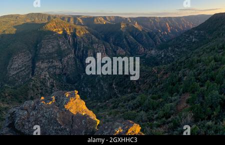 Vista panoramica del Canyon di Sycamore dal punto panoramico di Sycamore vista vicino al tramonto. Situato nella Kaibab National Forest vicino a Williams Arizona. Foto Stock