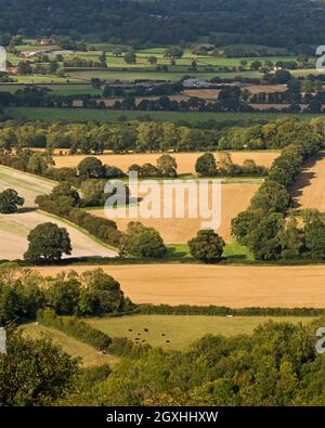 Vista estiva da Butser Hill, nel South Downs National Park, che si affaccia su terreni agricoli e mostra una rete di siepi e alberi. Hampshire, Inghilterra, Regno Unito Foto Stock