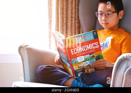 Bambino ragazzo indossare occhiali lettura economia per principianti prenotare sul divano a casa durante il covid-19 pandemic lockdown. Istruzione economica aziendale per i bambini. Foto Stock