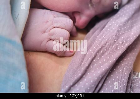 Mano di un neonato primo piano. Posare il bambino sul petto della madre subito dopo il parto. Una donna che ha dato alla luce un bambino neonato Foto Stock