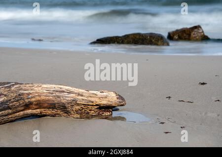 tronco di albero e grandi pietre sulla spiaggia Foto Stock