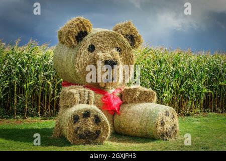 Un orsacchiotto gigante fatto di balle di paglia in un ambiente di fattoria autunnale. Foto Stock