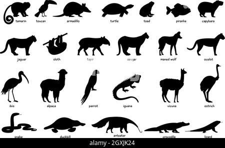 Grande set di silhouette di animali del Sud America Illustrazione Vettoriale