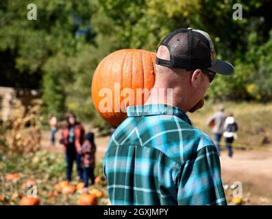 Un uomo porta con sé una zucca acquistata durante l'annuale Harvest Festival presso il complesso di storia vivente El Rancho de las Golondrinas in New Mexico. Foto Stock