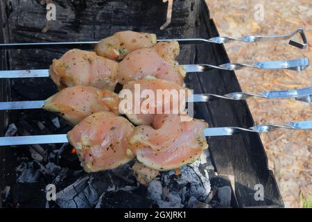 Frittura di carne alla griglia all'aperto. Pezzi fritti di spiedini di carne di pollo su carboni. Barbecue di carne sfondo. Foto Stock