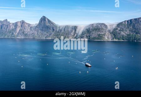Vista aerea di un allevamento di salmone, l'acquacoltura nel Mefjord sull'isola di Senja, sullo sfondo la vetta del famoso monte Segla, Norvegia Foto Stock