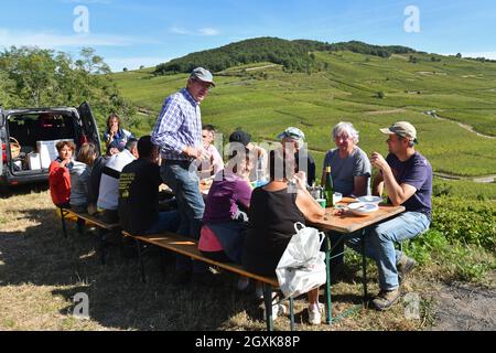 Vendemmiatori francesi che prendono una pausa pranzo vicino Kaysersberg nella regione Alsazia della Francia ottobre 2021. Vendemmiatrice francia vendemmiatrice a mano Foto Stock