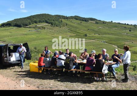 Vendemmiatori francesi che prendono una pausa pranzo vicino Kaysersberg nella regione Alsazia della Francia ottobre 2021. Vendemmiatrice francia vendemmiatrice a mano Foto Stock