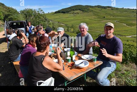 Vendemmiatori francesi che prendono una pausa pranzo vicino Kaysersberg nella regione Alsazia della Francia ottobre 2021. Vendemmiatrice francia vendemmiatrice a mano Foto Stock