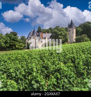 Château de Tracy, con vigneti Sauvignon Blanc in primo piano Tracy-sur-Loire, Pouilly-Fumé, Nièvre, Francia il Domaine è composto da 33 ettari sulle pendici intorno al Château stesso (terroir di selce) e quelli di Vilmoy, a pochi chilometri da Pouilly-sur-Loire (terroir calcareo Kimmeridgian). A nord dell'area dei fumi di Pouilly, sulle colline che si affacciano sulla Loira, il vigneto Château de Tracy si estende dalla collina Tracy all'altopiano degli Champs de Cris. Foto Stock