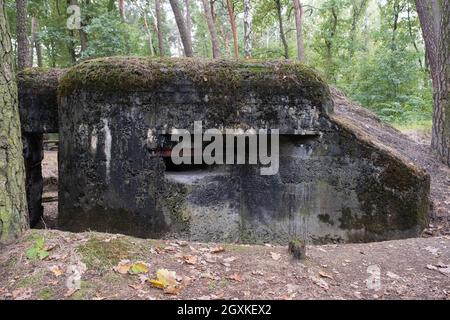 Zory, Polonia - 23 settembre 2021. Linea polacca di difesa e fortificazione in Zory (bunker Zwace). Autunno nuvoloso giorno. Messa a fuoco selettiva Foto Stock