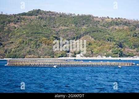 Coltivare gabbie di maricoltura per il tonno rosso del Pacifico, Thunnus orientalis, Ainan, Giappone Foto Stock