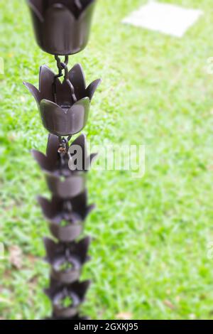 Campanello frana pioggia in campo erba casa, foto stock Foto Stock