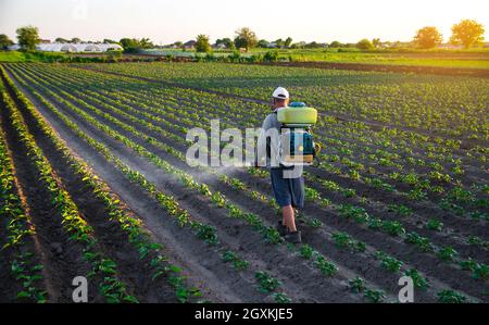 Il coltivatore spruzza una piantagione di patate con un irroratore. Trattamento chimico. Nebulizzatore, fungicida e pesticida. Protezione efficace del raccolto di p. Coltivato Foto Stock